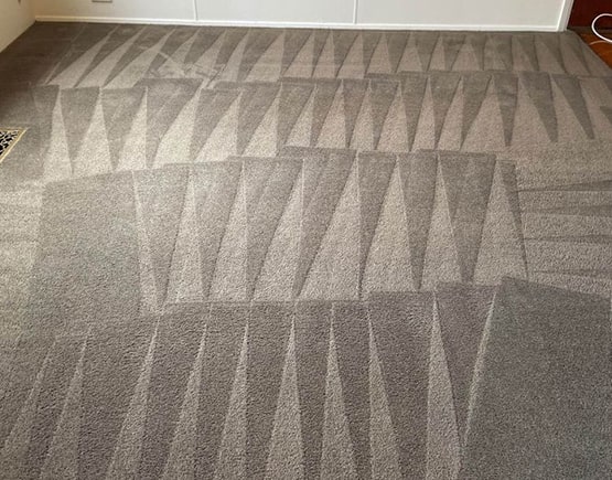 carpet cleaning double bay